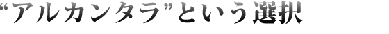 ”アルカンタラ”という選択